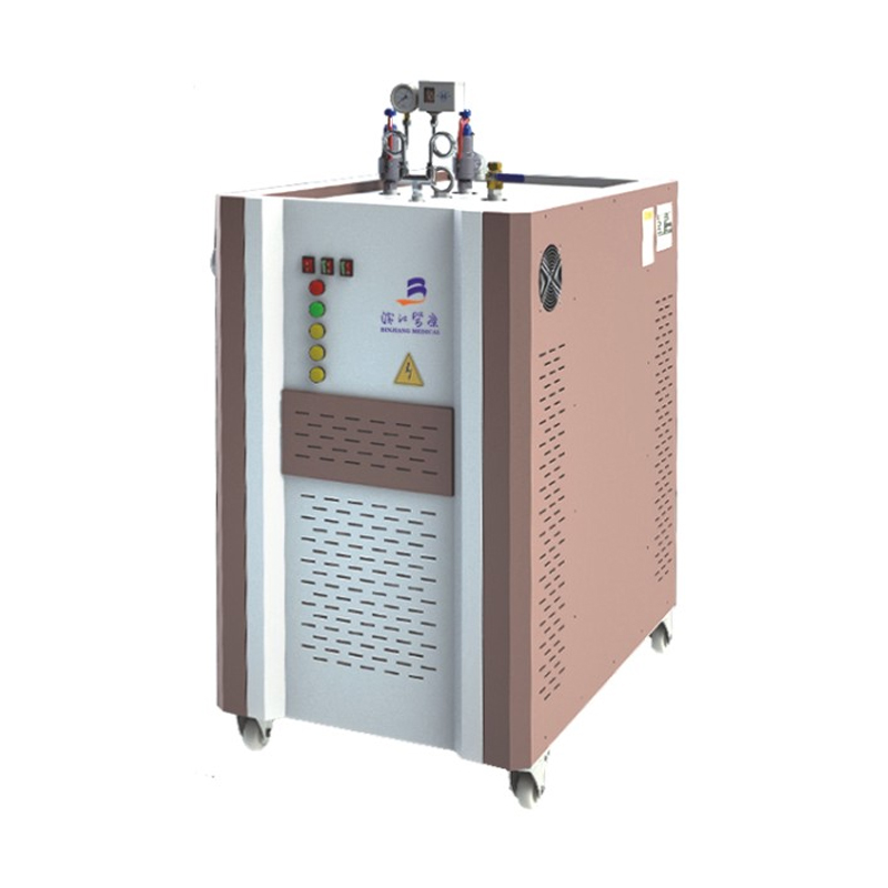 Générateur de vapeur électrique